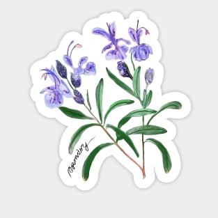 Rosemary Sticker